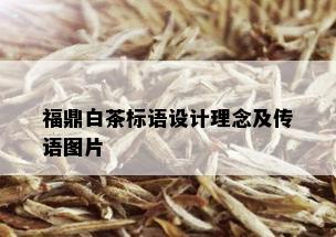 福鼎白茶标语设计理念及传语图片