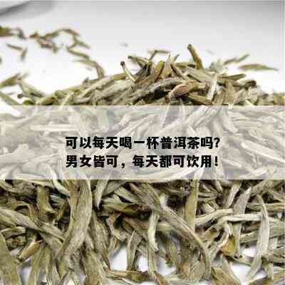 可以每天喝一杯普洱茶吗？男女皆可，每天都可饮用！