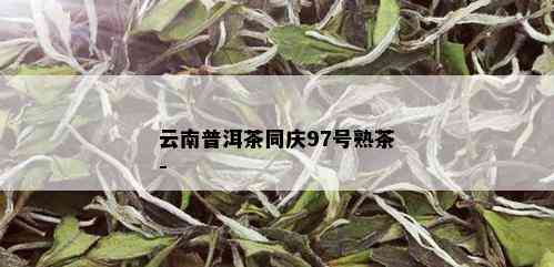 云南普洱茶同庆97号熟茶-