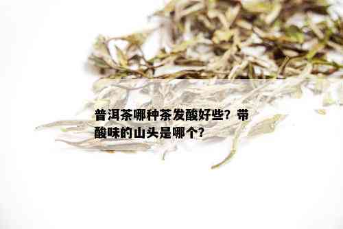 普洱茶哪种茶发酸好些？带酸味的山头是哪个？