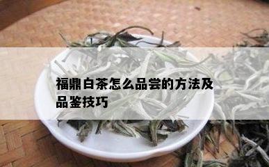 福鼎白茶怎么品尝的方法及品鉴技巧