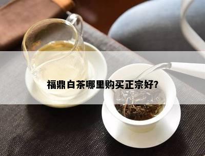 福鼎白茶哪里购买正宗好？