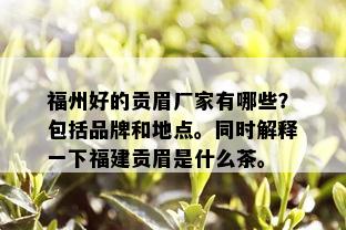 福州好的贡眉厂家有哪些？包括品牌和地点。同时解释一下福建贡眉是什么茶。