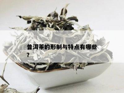 普洱茶的形制与特点有哪些？