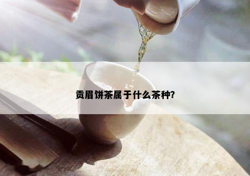 贡眉饼茶属于什么茶种？