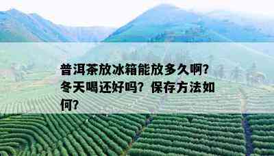 普洱茶放冰箱能放多久啊？冬天喝还好吗？保存方法如何？