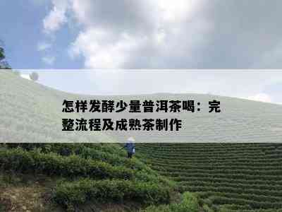 怎样发酵少量普洱茶喝：完整流程及成熟茶制作