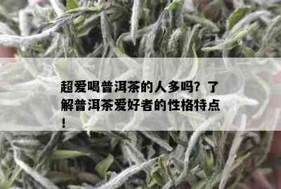 超爱喝普洱茶的人多吗？了解普洱茶爱好者的性格特点！