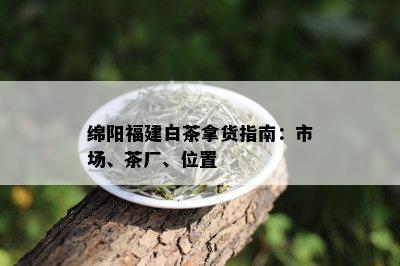 绵阳福建白茶拿货指南：市场、茶厂、位置