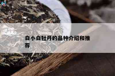 白小白牡丹的品种介绍和推荐