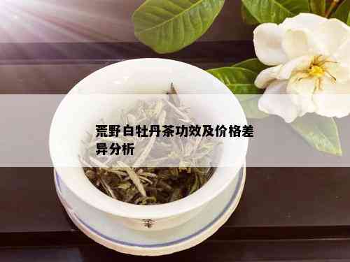 荒野白牡丹茶功效及价格差异分析