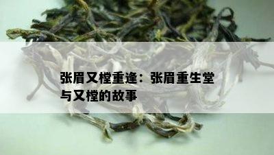 张眉又樘重逢：张眉重生堂与又樘的故事