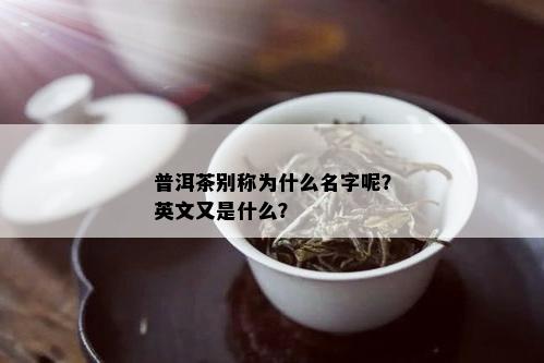 普洱茶别称为什么名字呢？英文又是什么？