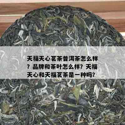 天福天心茗茶普洱茶怎么样？品牌和茶叶怎么样？天福天心和天福茗茶是一种吗？