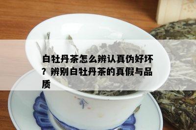 白牡丹茶怎么辨认真伪好坏？辨别白牡丹茶的真假与品质