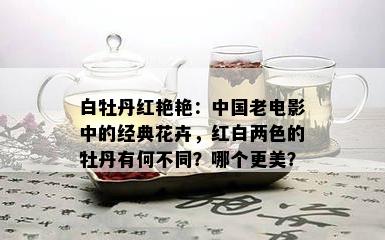 白牡丹红艳艳：中国老电影中的经典花卉，红白两色的牡丹有何不同？哪个更美？