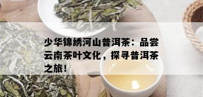 少华锦绣河山普洱茶：品尝云南茶叶文化，探寻普洱茶之旅！