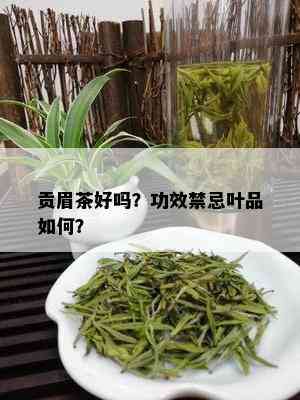 贡眉茶好吗？功效禁忌叶品如何？