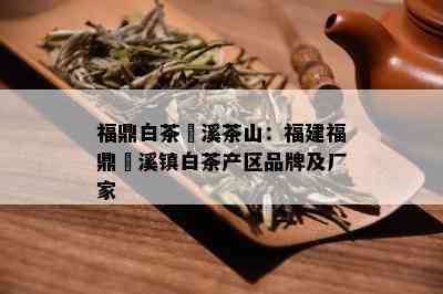 福鼎白茶磻溪茶山：福建福鼎磻溪镇白茶产区品牌及厂家