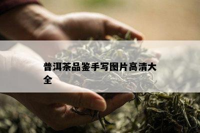 普洱茶品鉴手写图片高清大全