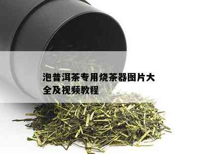 泡普洱茶专用烧茶器图片大全及视频教程