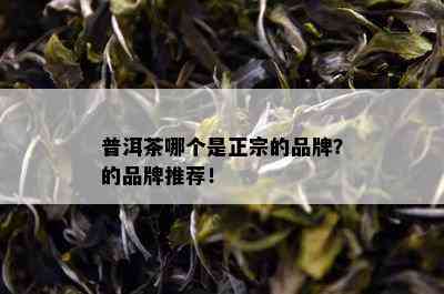 普洱茶哪个是正宗的品牌？的品牌推荐！