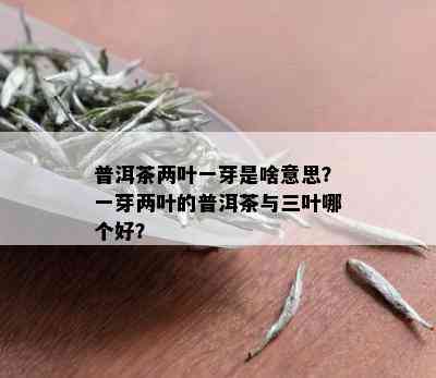 普洱茶两叶一芽是啥意思？一芽两叶的普洱茶与三叶哪个好？