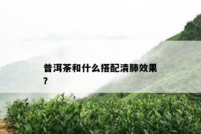 普洱茶和什么搭配清肺效果？