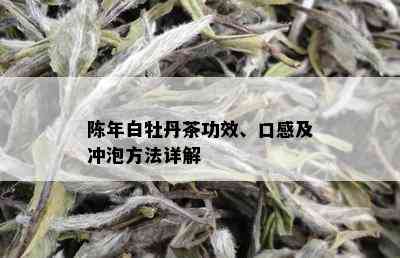 陈年白牡丹茶功效、口感及冲泡方法详解