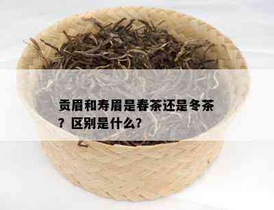 贡眉和寿眉是春茶还是冬茶？区别是什么？