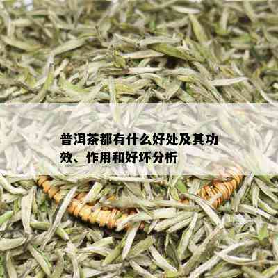 普洱茶都有什么好处及其功效、作用和好坏分析