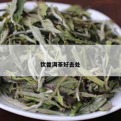 饮普洱茶好去处