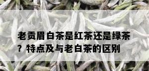 老贡眉白茶是红茶还是绿茶？特点及与老白茶的区别