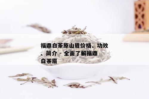 福鼎白茶原山眉价格、功效、简介 - 全面了解福鼎白茶眉