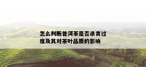 怎么判断普洱茶是否杀青过度及其对茶叶品质的影响