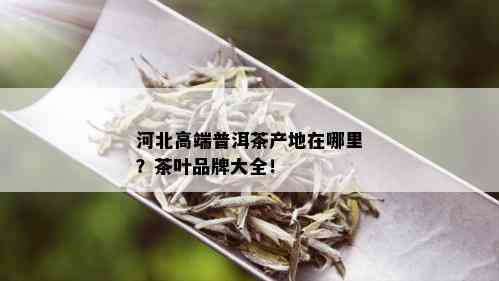 河北高端普洱茶产地在哪里？茶叶品牌大全！