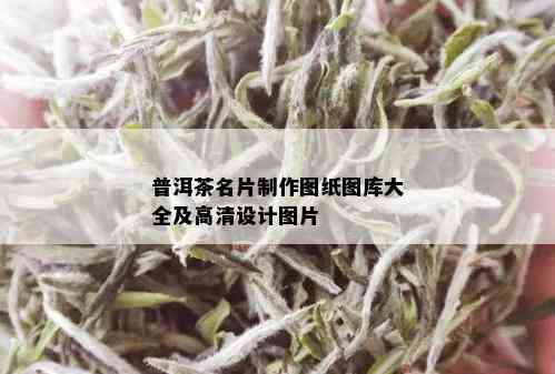 普洱茶名片制作图纸图库大全及高清设计图片