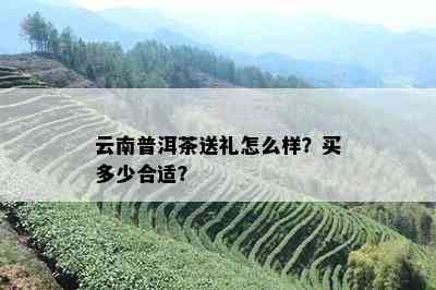 云南普洱茶送礼怎么样？买多少合适？