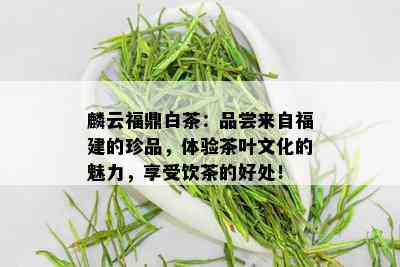 麟云福鼎白茶：品尝来自福建的珍品，体验茶叶文化的魅力，享受饮茶的好处！