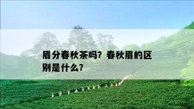 眉分春秋茶吗？春秋眉的区别是什么？