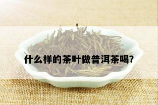 什么样的茶叶做普洱茶喝？