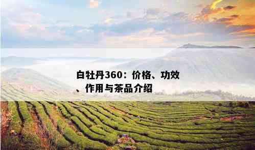 白牡丹360：价格、功效、作用与茶品介绍