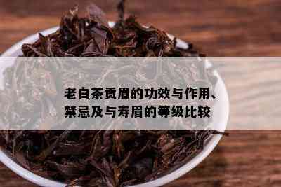 老白茶贡眉的功效与作用、禁忌及与寿眉的等级比较