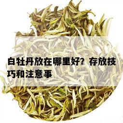 白牡丹放在哪里好？存放技巧和注意事