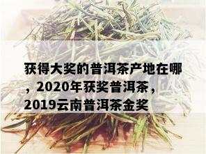 获得大奖的普洱茶产地在哪，2020年获奖普洱茶，2019云南普洱茶金奖