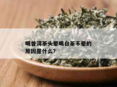 喝普洱茶头晕喝白茶不晕的原因是什么？