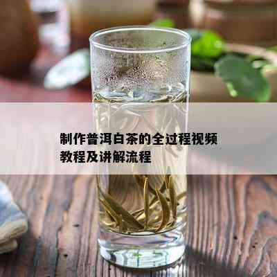 制作普洱白茶的全过程视频教程及讲解流程