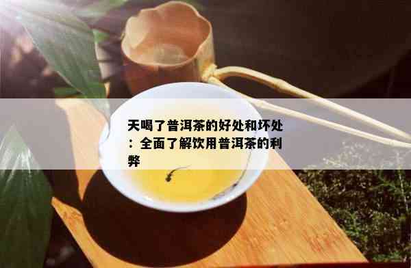 天喝了普洱茶的好处和坏处：全面了解饮用普洱茶的利弊