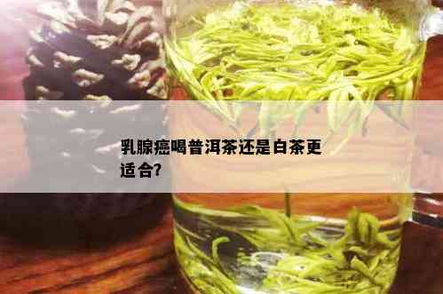 乳腺癌喝普洱茶还是白茶更适合？