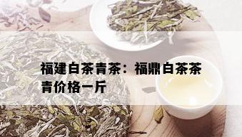 福建白茶青茶：福鼎白茶茶青价格一斤